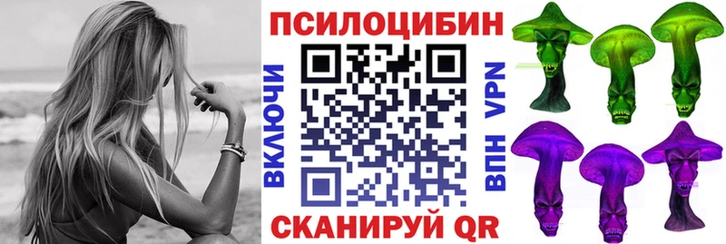 Купить  Очёр  Псилоцибиновые грибы Cubensis 